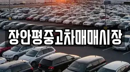 서울특별시 송파구 장지동 중고차 전문 장안평중고차매매시장