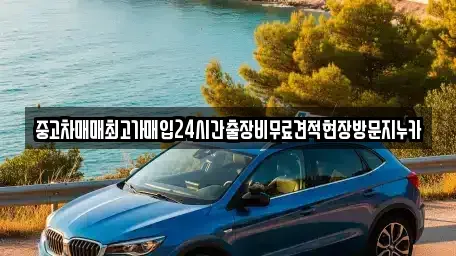 서울특별시 영등포구 대림동 중고차매입 전문 중고차매매최고가매입24시간출장비무료견적현장방문지누카