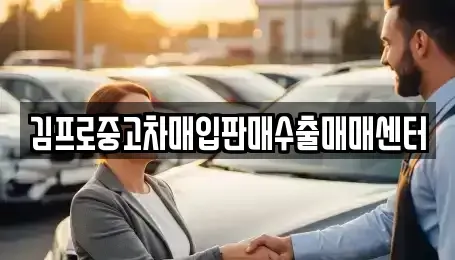 서울특별시 용산구 동빙고동 중고차 전문 김프로중고차매입판매수출매매센터