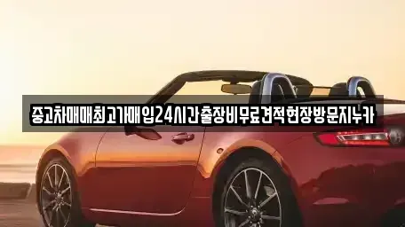 서울특별시 용산구 동빙고동 중고차 전문 중고차매매최고가매입24시간출장비무료견적현장방문지누카