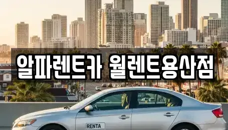 서울특별시 용산구 용산동5가 렌트카 전문 알파렌트카 월렌트용산점