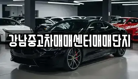 서울특별시 용산구 용산동5가 중고차 전문 강남중고차매매센터매매단지