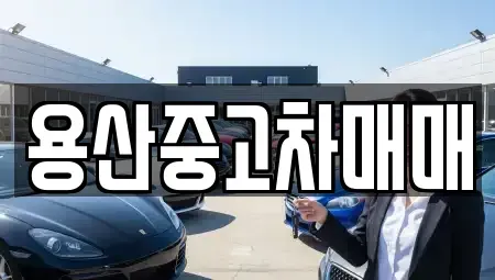 서울특별시 용산구 용산동5가 중고차 전문 용산중고차매매