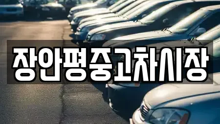 서울특별시 용산구 용산동5가 중고차 전문 장안평중고차시장