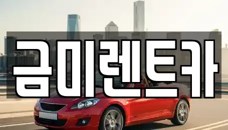 서울특별시 종로구 교남동 렌트카 전문 금미렌트카