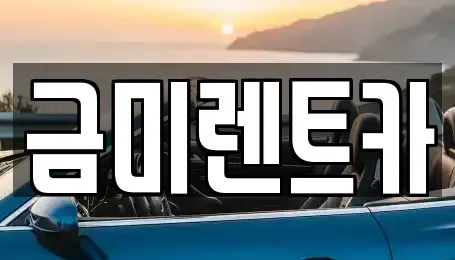 서울특별시 종로구 교북동 렌트카 전문 금미렌트카