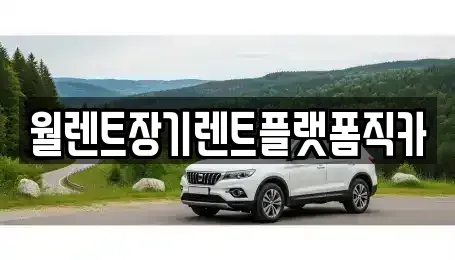 서울특별시 종로구 교북동 장기렌트카 전문 월렌트장기렌트플랫폼직카