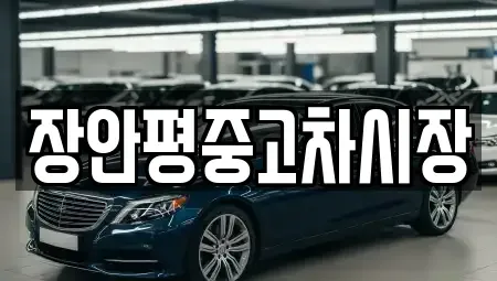 서울특별시 종로구 교북동 중고차매매 전문 장안평중고차시장