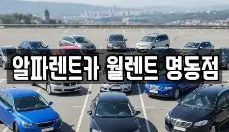 서울특별시 종로구 묘동 렌트카 전문 알파렌트카 월렌트 명동점
