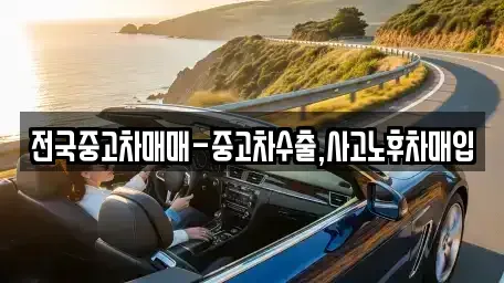 서울특별시 종로구 묘동 중고차 전문 전국중고차매매-중고차수출,사고노후차매입