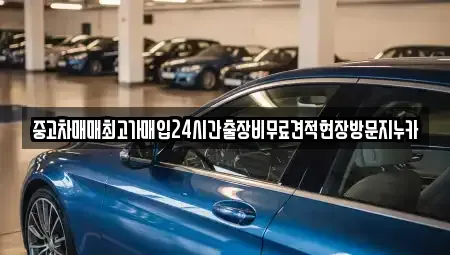 서울특별시 종로구 묘동 중고차 전문 중고차매매최고가매입24시간출장비무료견적현장방문지누카