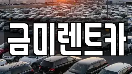 서울특별시 종로구 무악동 렌트카 전문 금미렌트카