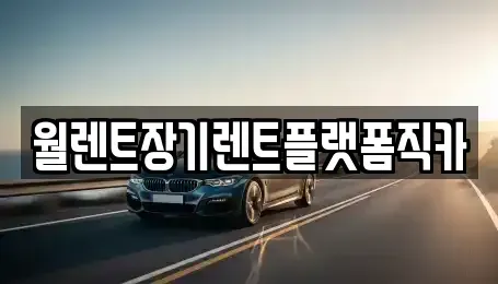 서울특별시 종로구 무악동 장기렌트카 전문 월렌트장기렌트플랫폼직카
