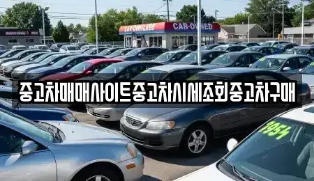서울특별시 종로구 봉익동 중고차매매 전문 중고차매매사이트중고차시세조회중고차구매