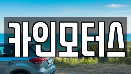 서울특별시 종로구 봉익동 중고차매매 전문 카인모터스