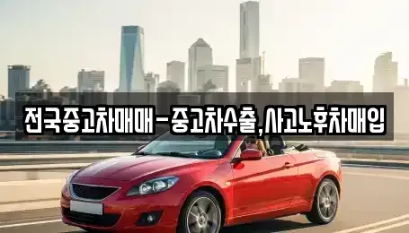 서울특별시 종로구 봉익동 중고차매입 전문 전국중고차매매-중고차수출,사고노후차매입