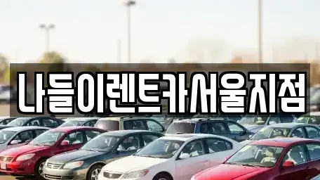 서울특별시 종로구 충신동 렌트카 전문 나들이렌트카서울지점