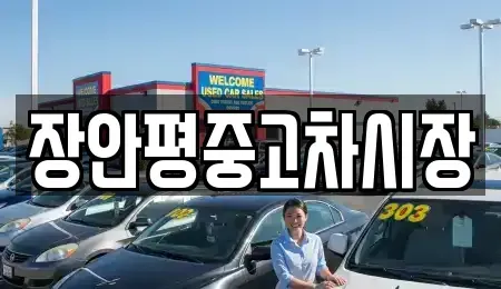 서울특별시 종로구 충신동 중고차 전문 장안평중고차시장