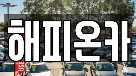 서울특별시 종로구 충신동 중고차 전문 해피온카
