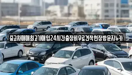 서울특별시 종로구 충신동 중고차매입 전문 중고차매매최고가매입24시간출장비무료견적현장방문지누카