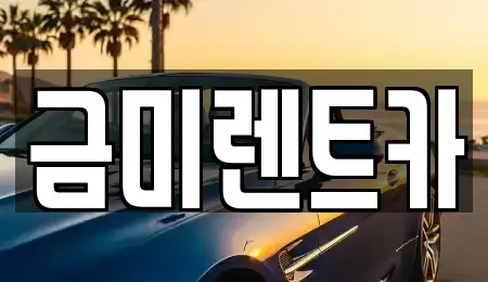 서울특별시 종로구 행촌동 렌트카 전문 금미렌트카