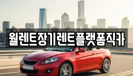 서울특별시 종로구 행촌동 장기렌트카 전문 월렌트장기렌트플랫폼직카