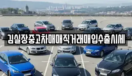서울특별시 종로구 행촌동 중고차매매 전문 김실장중고차매매직거래매입수출시세