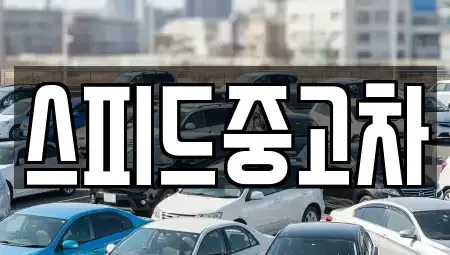 서울특별시 종로구 행촌동 중고차매매 전문 스피드중고차