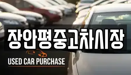 서울특별시 종로구 행촌동 중고차매매 전문 장안평중고차시장