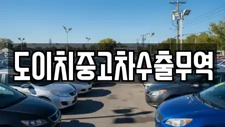 서울특별시 중구 초동 중고차 전문 도이치중고차수출무역