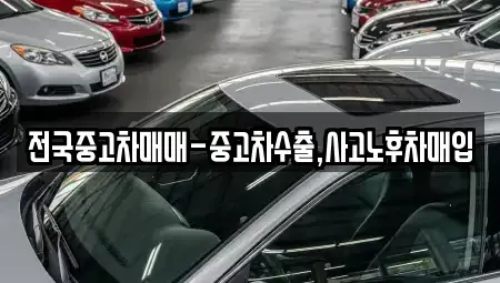 서울특별시 중구 초동 중고차 전문 전국중고차매매-중고차수출,사고노후차매입