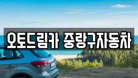 서울특별시 중랑구 중고차 전문 오토드림카 중랑구자동차