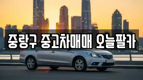서울특별시 중랑구 중고차 전문 중랑구 중고차매매 오늘팔카