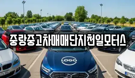 서울특별시 중랑구 중고차 전문 중랑중고차매매단지천일모터스