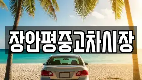 서울특별시 중랑구 중고차매매 전문 장안평중고차시장