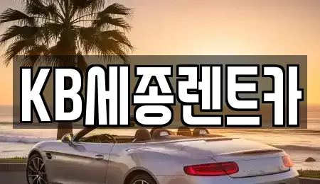 세종특별자치시 고운동 렌트카 전문 KB세종렌트카