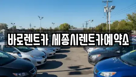 세종특별자치시 고운동 장기렌트카 전문 바로렌트카 세종시렌트카예약소