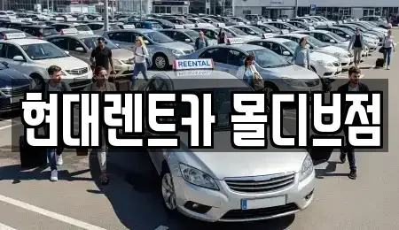 세종특별자치시 고운동 장기렌트카 전문 현대렌트카 몰디브점