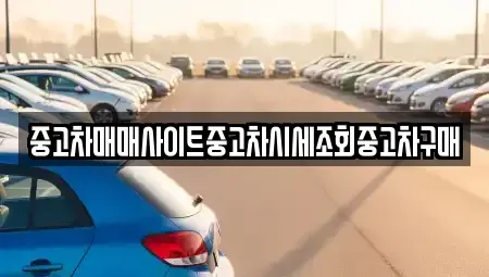 세종특별자치시 고운동 중고차매매,단기렌트카,중고차매입,장기렌트카,중고차,렌트카
