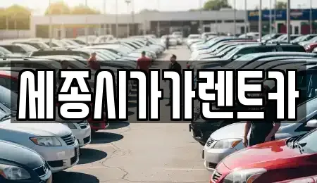 세종특별자치시 금남면 단기렌트카 전문 세종시가가렌트카