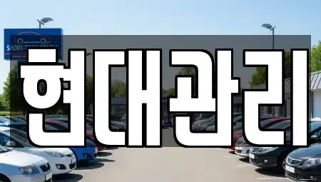 세종특별자치시 금남면 렌트카 전문 현대관리