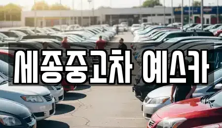 세종특별자치시 금남면 중고차 전문 세종중고차 예스카