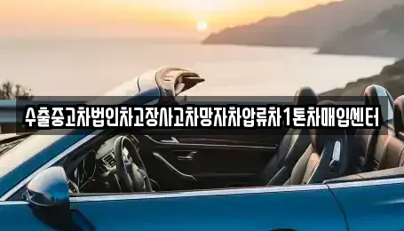 세종특별자치시 금남면 중고차 전문 수출중고차법인차고장사고차망자차압류차1톤차매입센터