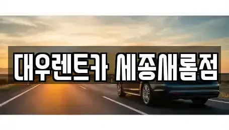 세종특별자치시 새롬동 렌트카 전문 대우렌트카 세종새롬점