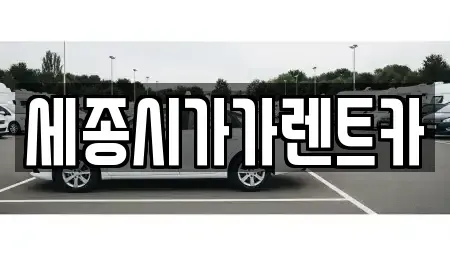 세종특별자치시 새롬동 렌트카 전문 세종시가가렌트카