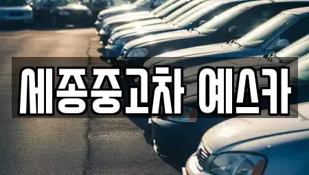 세종특별자치시 새롬동 중고차매매 전문 세종중고차 예스카