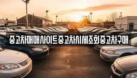 세종특별자치시 새롬동 중고차매매 전문 중고차매매사이트중고차시세조회중고차구매