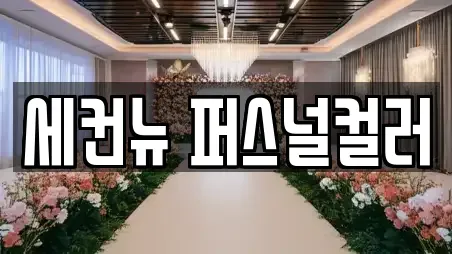 세컨뉴 퍼스널컬러