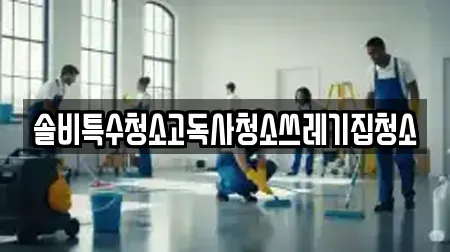 솔비특수청소고독사청소쓰레기집청소