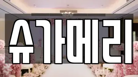서울특별시 서초구 염곡동 동네 웨딩박람회 17업체